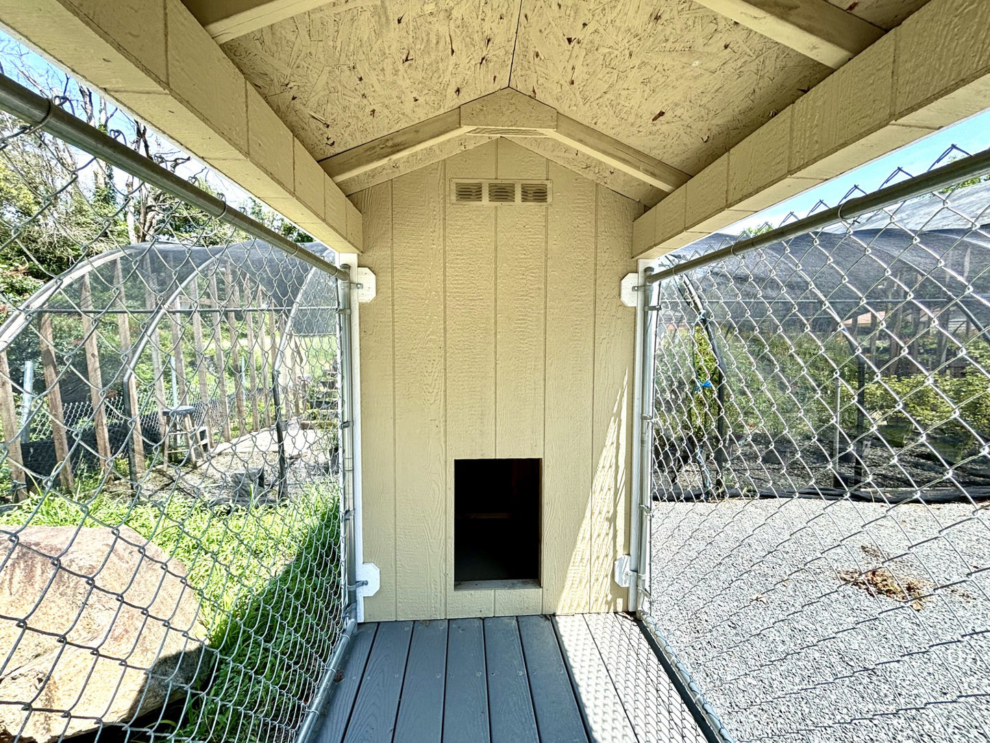 4x8ft Single Kennel // $3,990